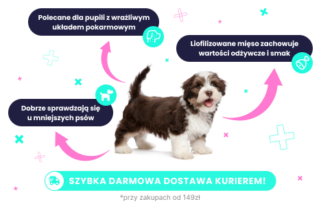Przysmaki liofilizowane