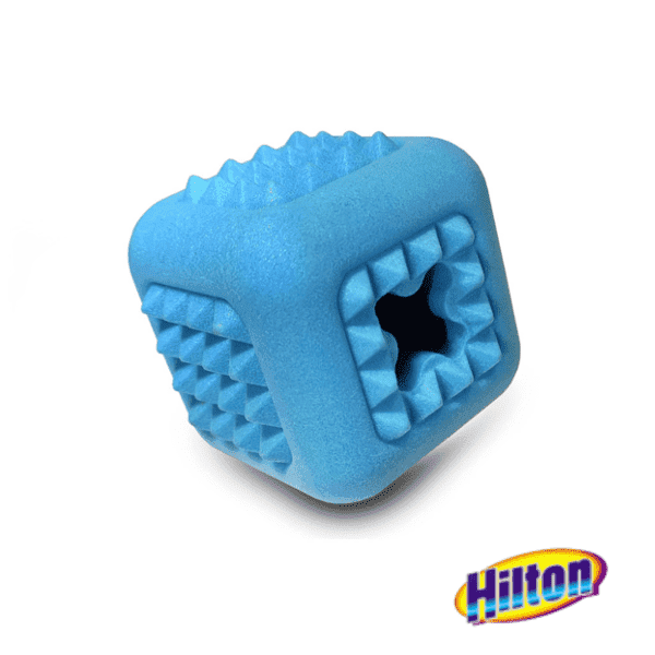 Hilton Dental cube 7cm kostka zabawka dla psa