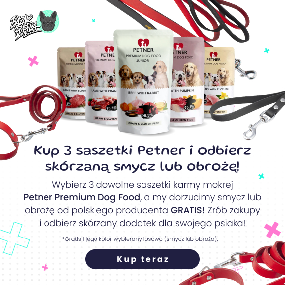 Promocje