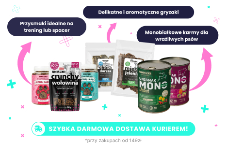 Uniszki