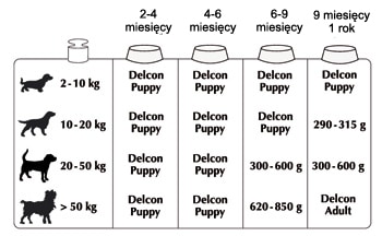 Delcon junior karma dla psa 12kg