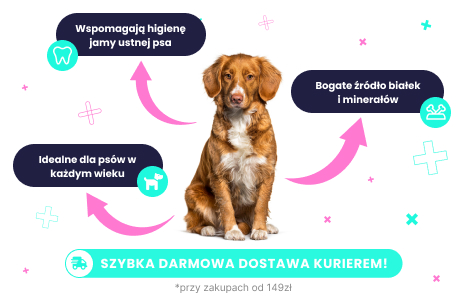 Batony dla psów