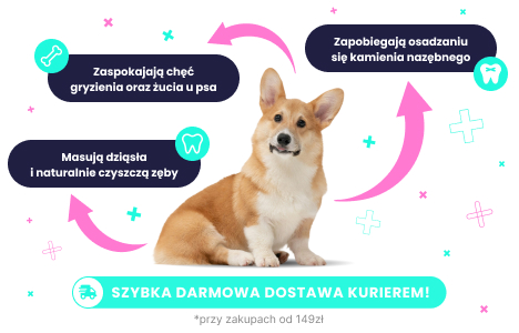 Dentystyczne